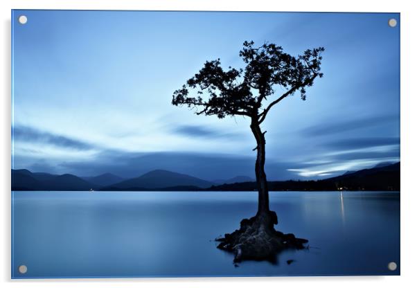 Loch Lomond tree eight minute exposure Acrylic by JC studios LRPS ARPS