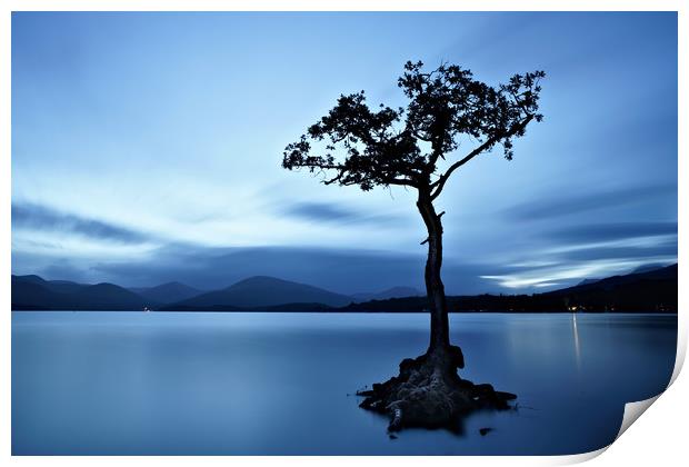 Loch Lomond tree eight minute exposure Print by JC studios LRPS ARPS