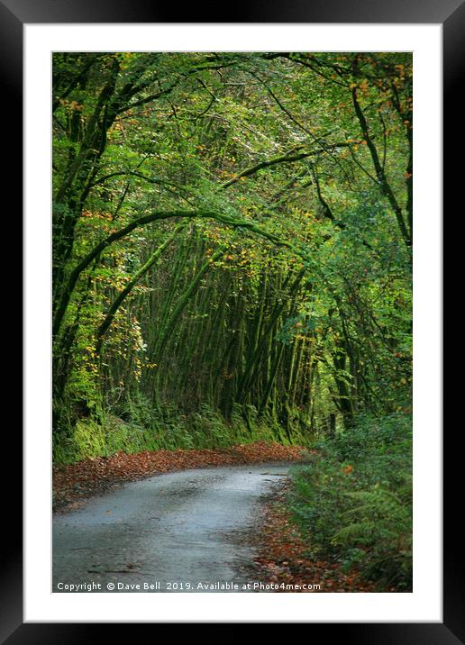 Green arch Framed Mounted Print by Dave Bell