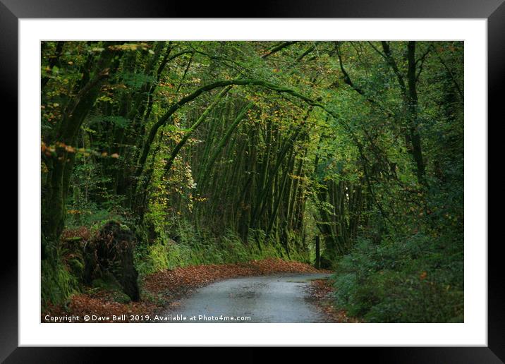 Autumn in England Framed Mounted Print by Dave Bell