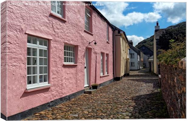 Cottages and Cobbles at Boscastle, Cornwall Canvas Print by David Birchall