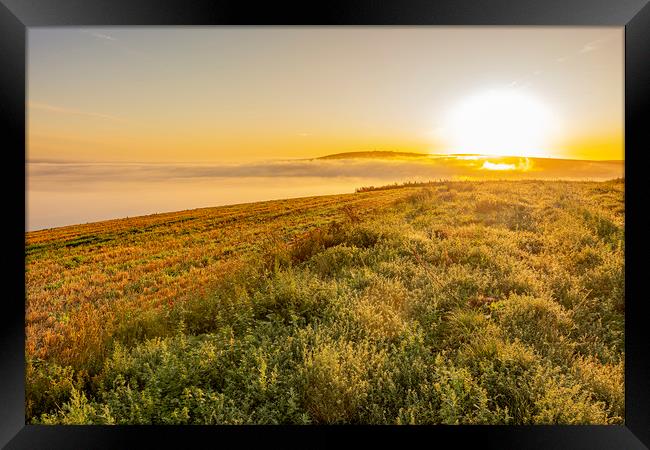 Valley Misty Morning Framed Print by Malcolm McHugh