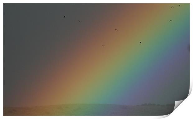Rainbow Print by Ruth Hallam