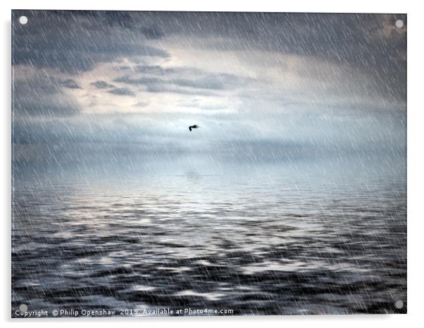 stormbird Acrylic by Philip Openshaw