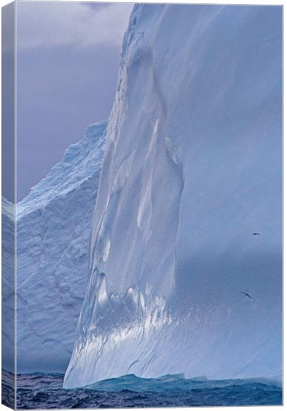 Iceberg in Drake Passage 7 Canvas Print by Ruth Hallam