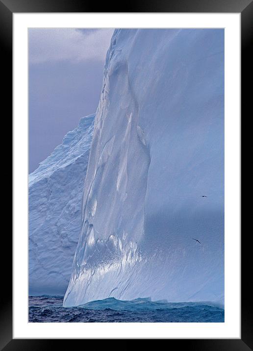 Iceberg in Drake Passage 7 Framed Mounted Print by Ruth Hallam
