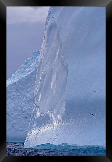 Iceberg in Drake Passage 7 Framed Print by Ruth Hallam