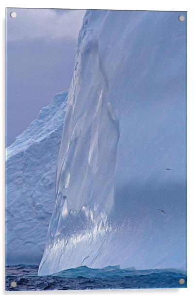 Iceberg in Drake Passage 7 Acrylic by Ruth Hallam