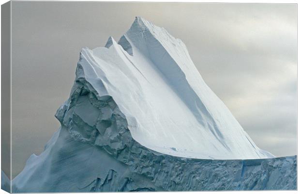 Iceberg in Drake Passage 10 Canvas Print by Ruth Hallam