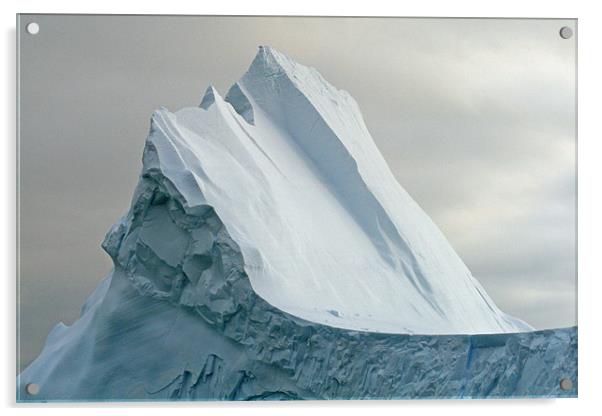 Iceberg in Drake Passage 10 Acrylic by Ruth Hallam