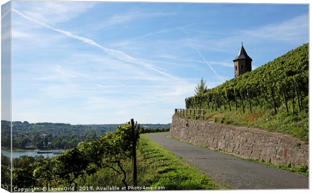 Vineyards next to the river Rhine in Germany Canvas Print by Lensw0rld 