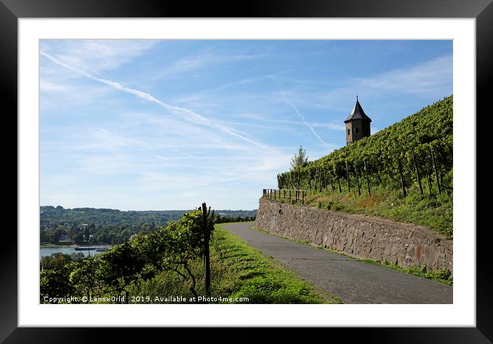 Vineyards next to the river Rhine in Germany Framed Mounted Print by Lensw0rld 