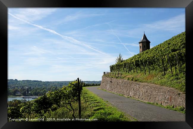 Vineyards next to the river Rhine in Germany Framed Print by Lensw0rld 