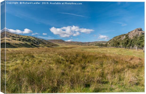 Towards Cronkley Fell and Noon Hill, Teesdale Canvas Print by Richard Laidler