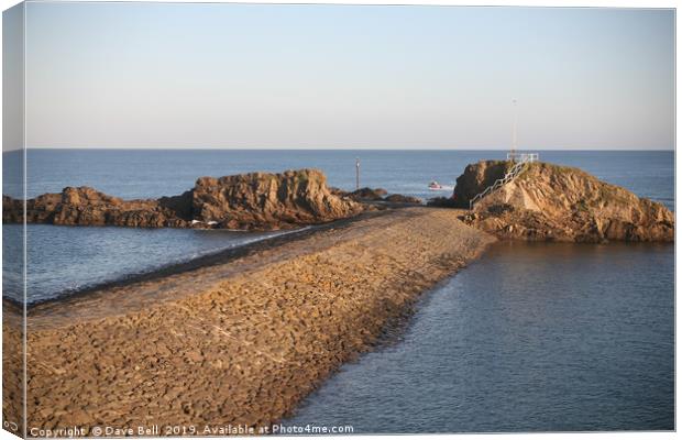 Bude Breakwater Canvas Print by Dave Bell