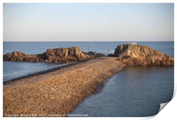 Bude Breakwater Print by Dave Bell
