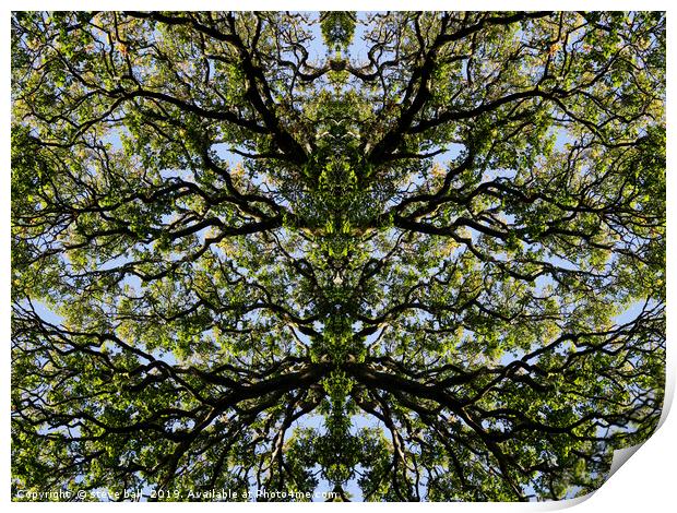 Mirror image trees Print by steve ball
