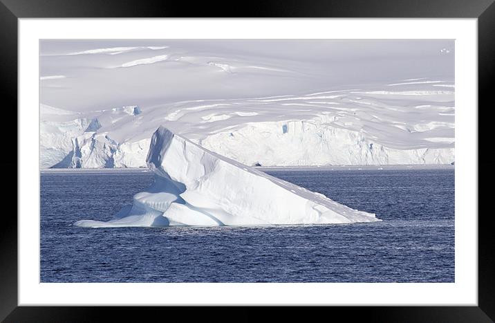 Cuverville Island Antarctica 10 Framed Mounted Print by Ruth Hallam