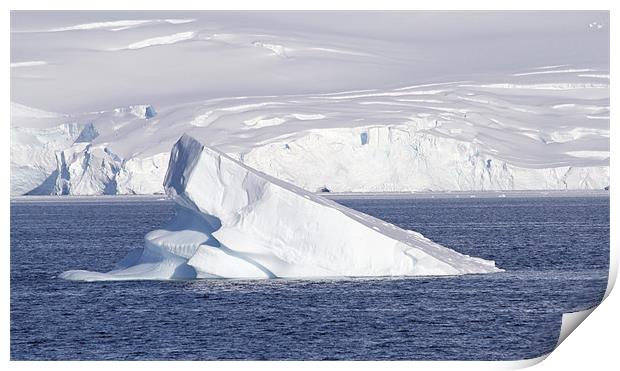 Cuverville Island Antarctica 10 Print by Ruth Hallam