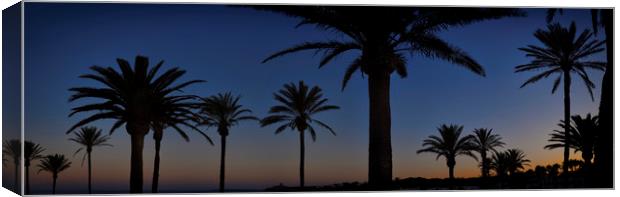 Palm Tree Silhouette Canvas Print by Adrian Brockwell