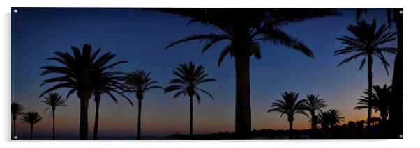 Palm Tree Silhouette Acrylic by Adrian Brockwell