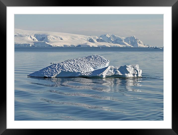 iceberg 2 Framed Mounted Print by Ruth Hallam