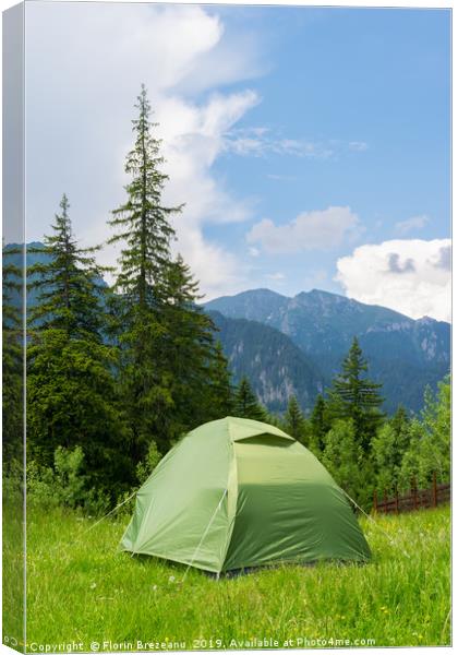 one green tent installed in the wild mountains Canvas Print by Florin Brezeanu