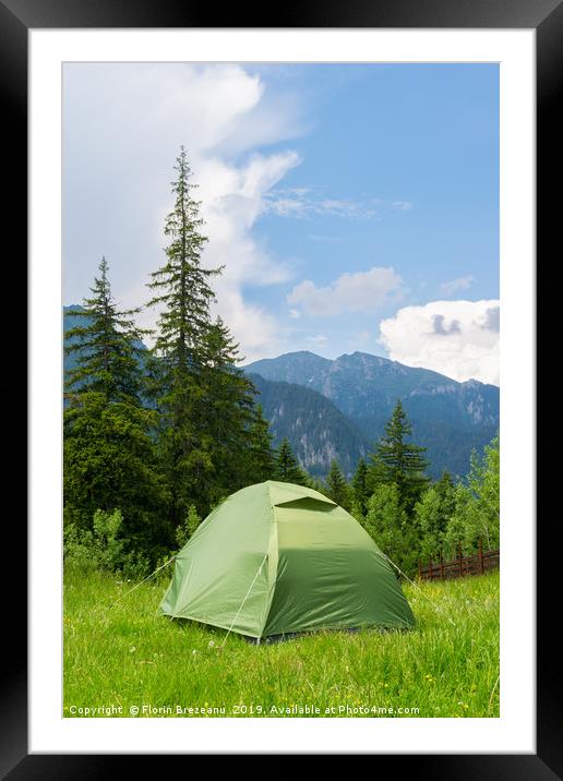 one green tent installed in the wild mountains Framed Mounted Print by Florin Brezeanu