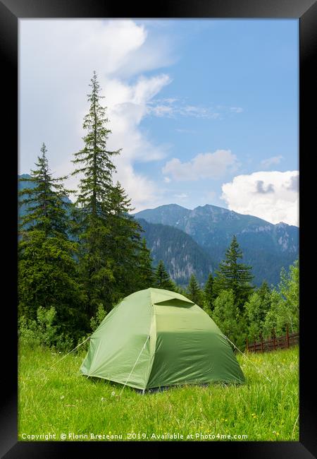 one green tent installed in the wild mountains Framed Print by Florin Brezeanu