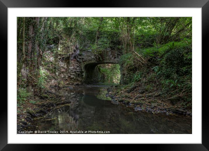 Bridge to Upper Forge Framed Mounted Print by David Tinsley