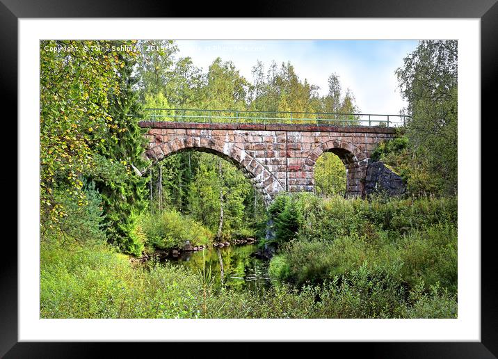 Old Railroad Bridge in Central Finland  Framed Mounted Print by Taina Sohlman