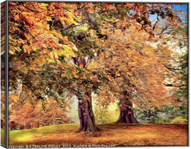 "Autumn trees" Canvas Print by ROS RIDLEY