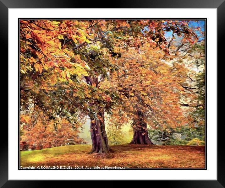 "Autumn trees" Framed Mounted Print by ROS RIDLEY