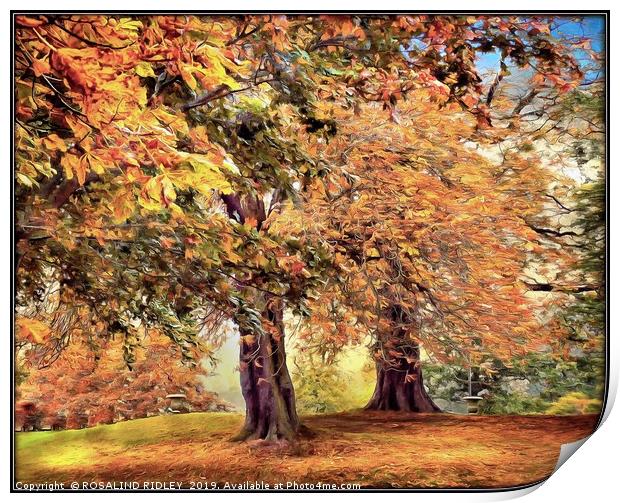"Autumn trees" Print by ROS RIDLEY