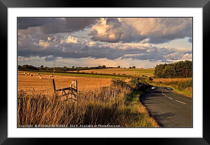 "Evening light Fishburn County Durham" Framed Mounted Print by ROS RIDLEY