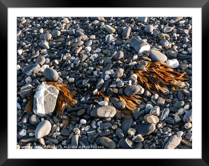Pebbles and Weed Framed Mounted Print by Dave Bell