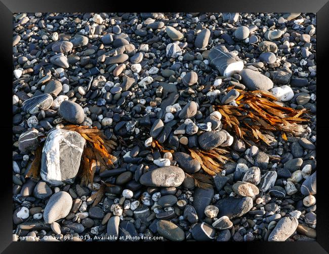 Pebbles and Weed Framed Print by Dave Bell