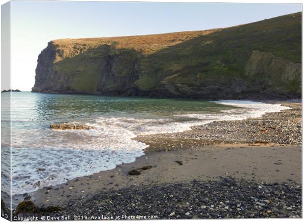 Crackington Haven Canvas Print by Dave Bell