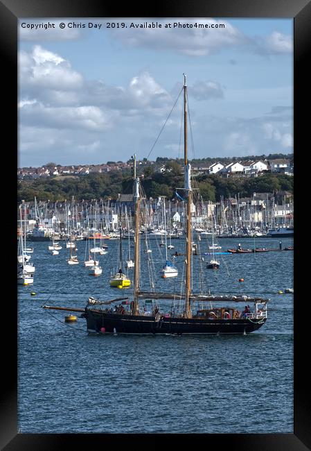 Spirit of Falmouth Framed Print by Chris Day