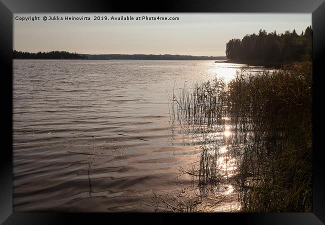 Morning By The Lake Framed Print by Jukka Heinovirta