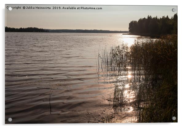 Morning By The Lake Acrylic by Jukka Heinovirta
