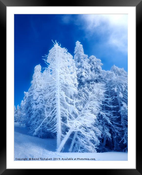 Snow covered winter trees, Austria  Framed Mounted Print by Bernd Tschakert