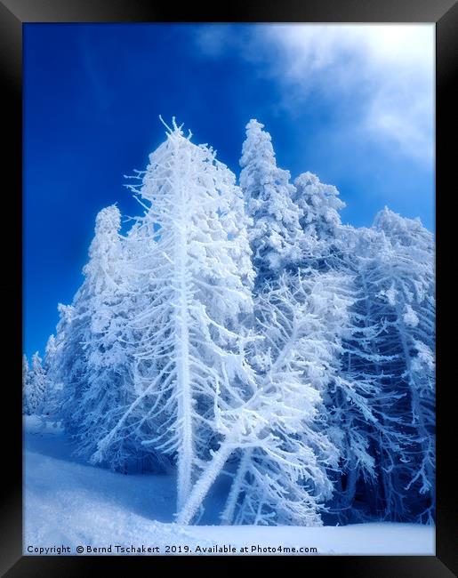 Snow covered winter trees, Austria  Framed Print by Bernd Tschakert