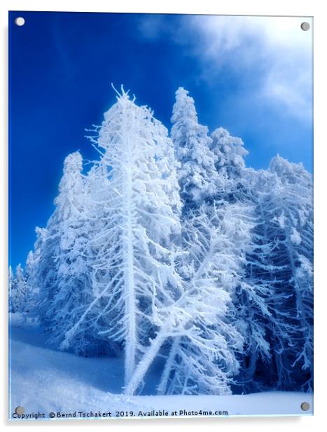 Snow covered winter trees, Austria  Acrylic by Bernd Tschakert