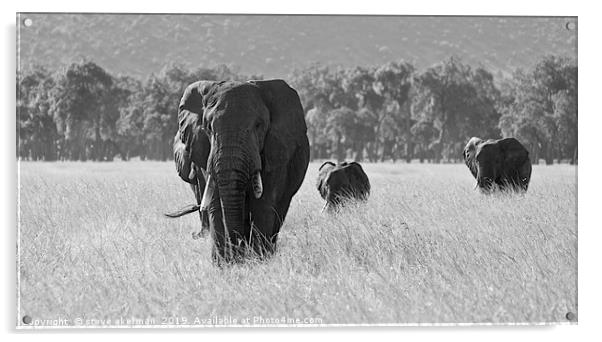    An Elephant family in the Masai Mara.           Acrylic by steve akerman