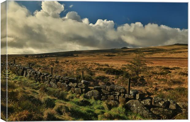 Dartmoor wall Canvas Print by Dave Bell