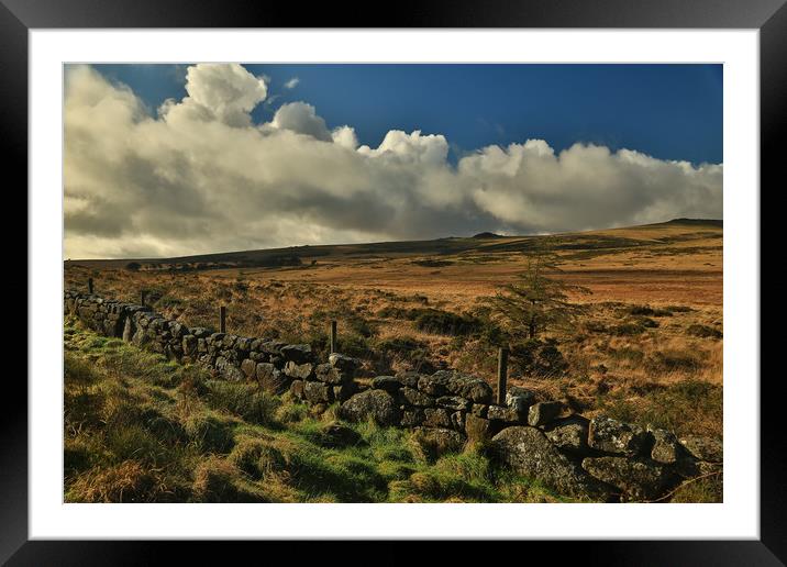 Dartmoor wall Framed Mounted Print by Dave Bell