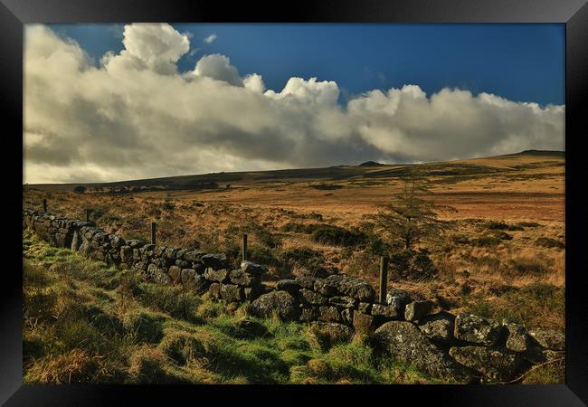 Dartmoor wall Framed Print by Dave Bell