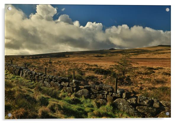 Dartmoor wall Acrylic by Dave Bell