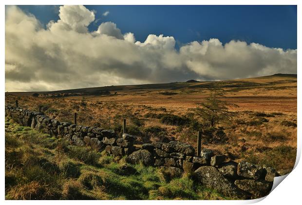 Dartmoor wall Print by Dave Bell